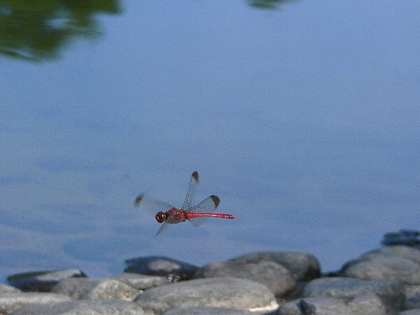 e0002314_11253350.jpg