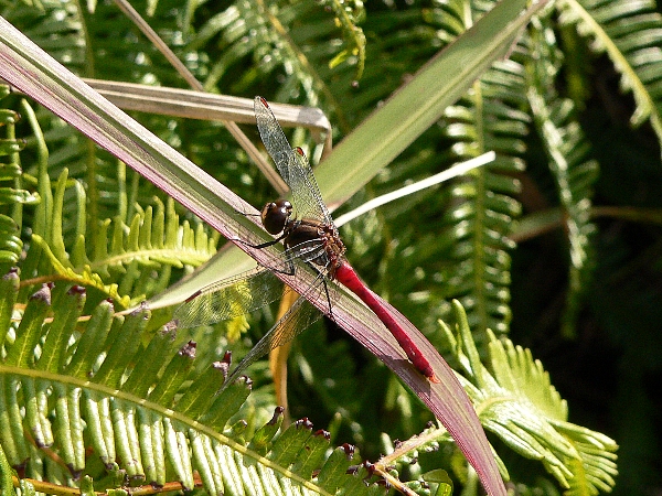 e0002314_11323849.jpg