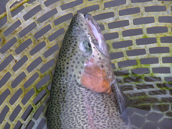 f0103126_15502695.jpg