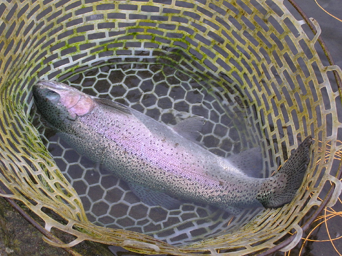f0103126_1654585.jpg