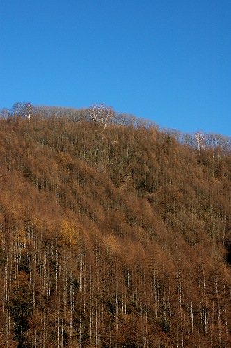 c0027027_16273313.jpg