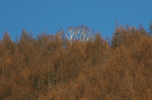 c0027027_162807.jpg