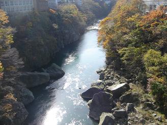 f0045530_1173681.jpg