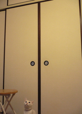 f0073833_2010673.jpg