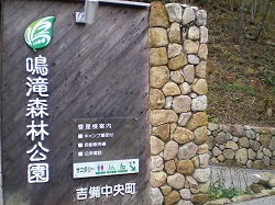 a0055835_15152723.jpg