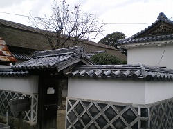 a0055835_15472046.jpg