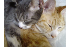 c0011446_1481158.jpg
