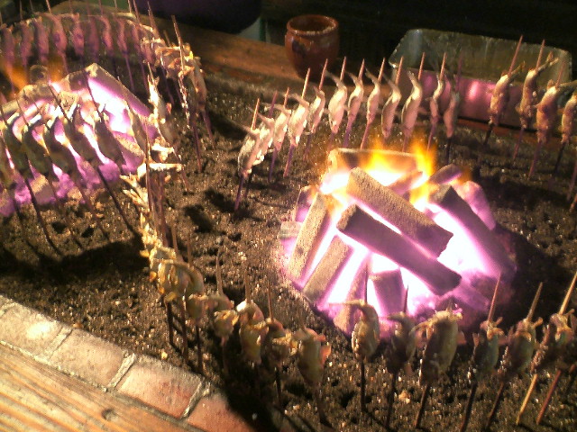 c0026846_1812756.jpg