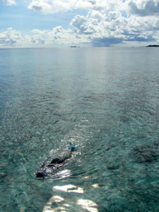c0098547_22474839.jpg