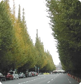 f0096147_22543620.jpg