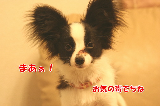 d0013149_0262733.jpg