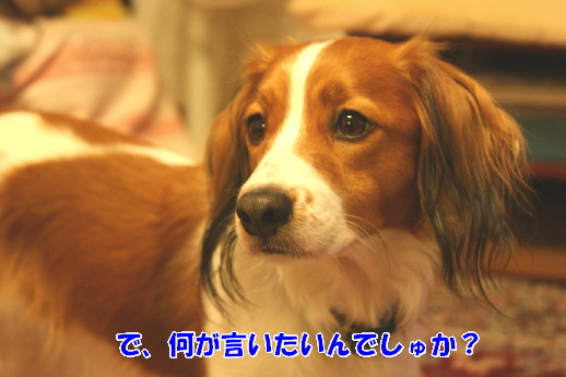 d0013149_0452186.jpg
