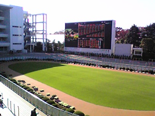 e0089761_4473144.jpg