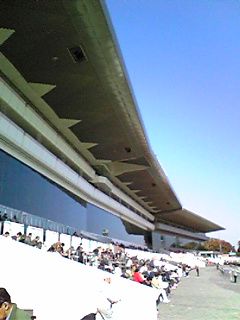 e0089761_461495.jpg