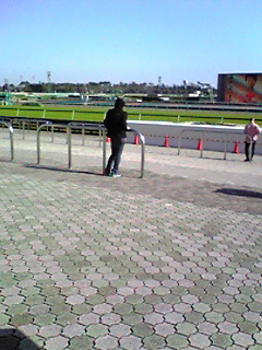 e0089761_5101460.jpg