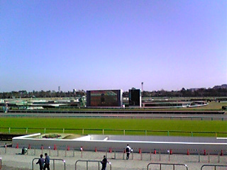 e0089761_595744.jpg