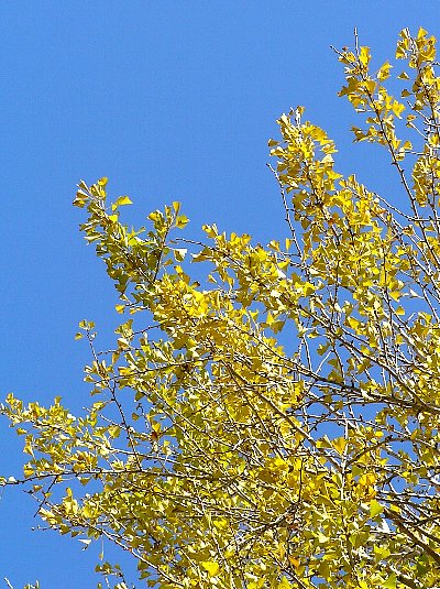 f0103667_7121123.jpg
