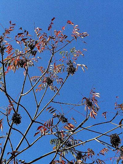 f0103667_7124624.jpg