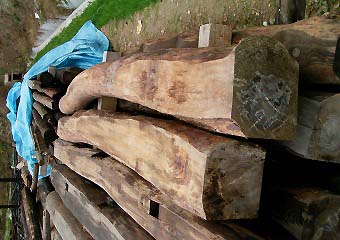 e0000968_17315070.jpg
