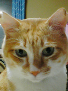 f0095271_15373214.jpg