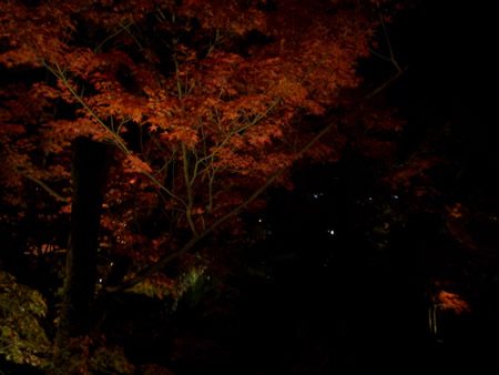 d0074578_23242982.jpg