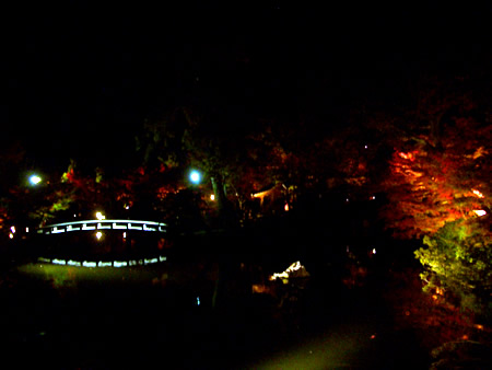 d0074578_2325898.jpg