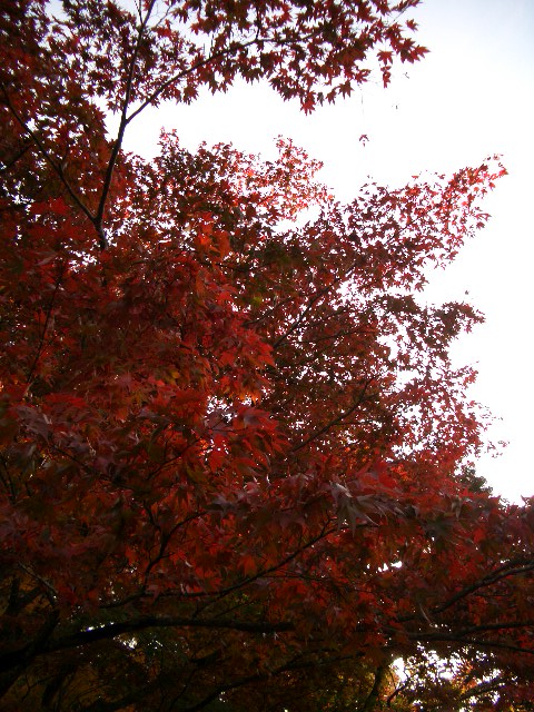 f0089079_2425050.jpg