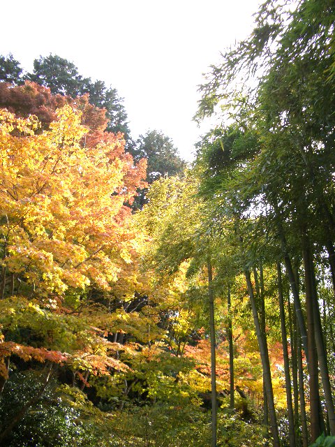 f0089079_302860.jpg