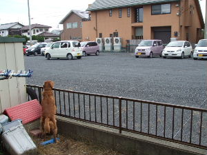 f0005081_20412445.jpg