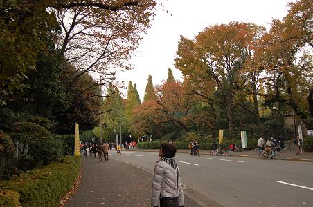 b0058285_19225275.jpg