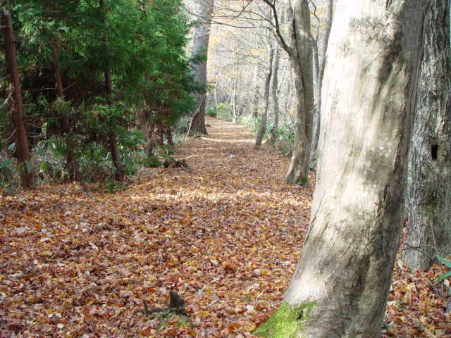 f0018388_21232722.jpg