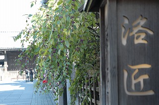 d0011689_1313039.jpg