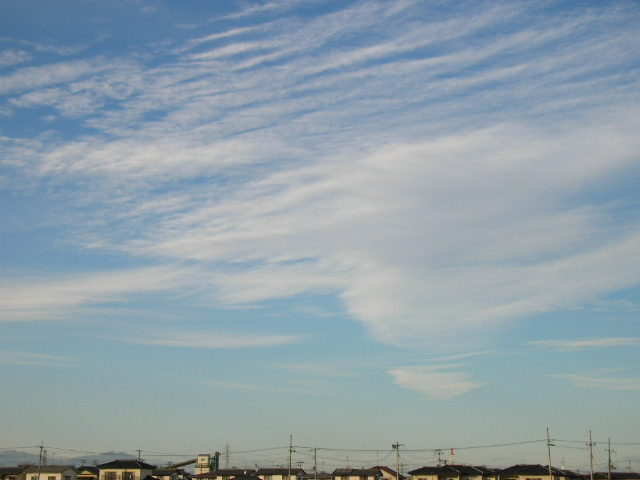 c0029190_14423167.jpg
