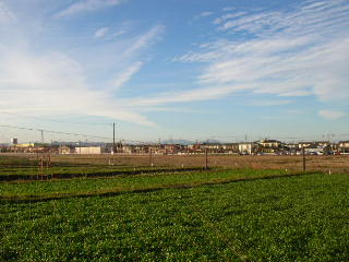 c0029190_14435671.jpg