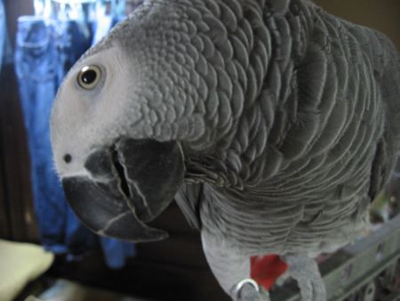 c0076490_22393298.jpg