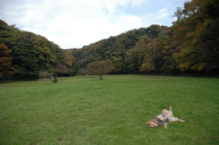 c0104492_23184270.jpg