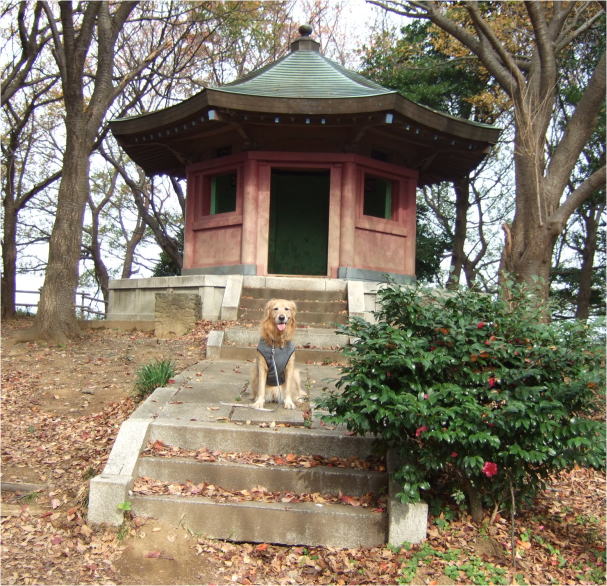 c0104492_2324385.jpg