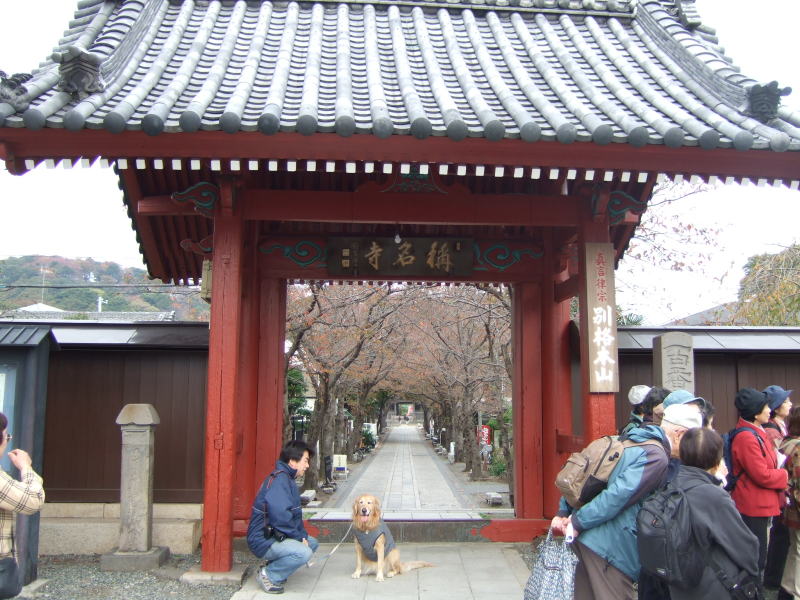 c0104492_237963.jpg