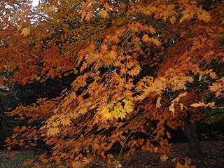 d0029198_23264058.jpg