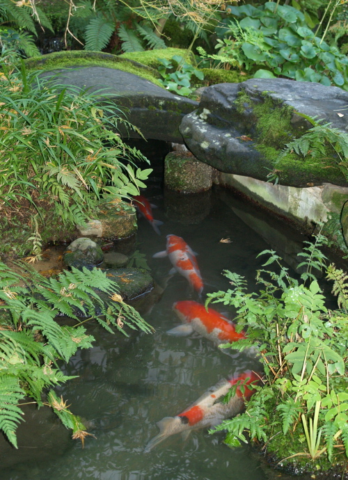 e0089001_0133714.jpg