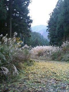 f0017409_22412117.jpg
