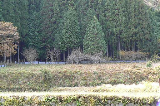 c0086014_21333371.jpg