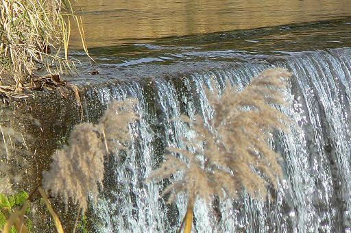 c0086014_2141420.jpg