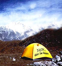 c0083518_221013.jpg