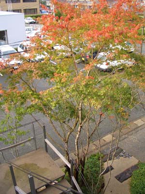 c0103119_12585011.jpg