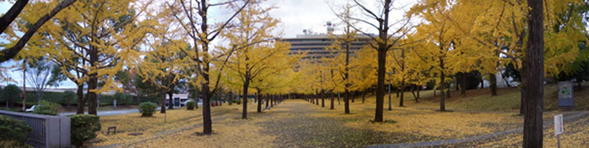 c0103119_13295454.jpg