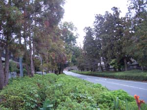 c0103119_13365951.jpg