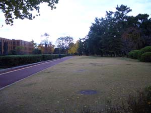 c0103119_13402612.jpg