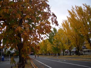 c0103119_13413150.jpg