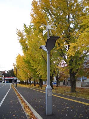 c0103119_13414686.jpg